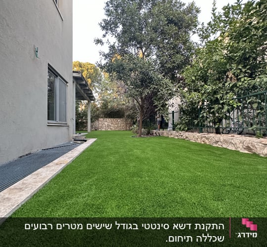 דשא ירוק ועץ בגינה פרטית